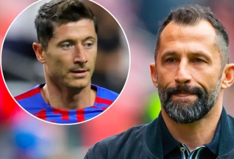 经在全球范 经在全球范