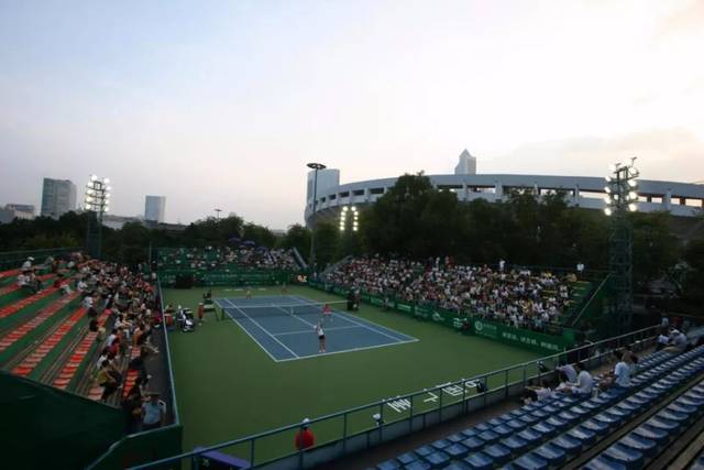 队队友维尼 队队友维尼