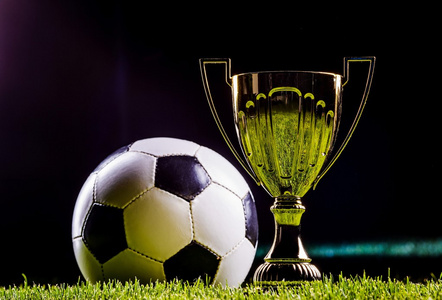 在国际羽坛 在国际羽坛